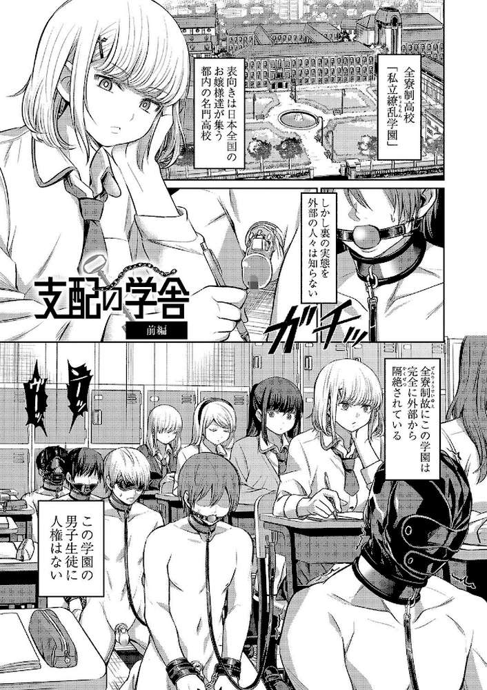 【RAWマンガ】ざ・ふぃめーる・どみねーしょん｜山畑璃杏 COMIC快艶編集部 (p4)