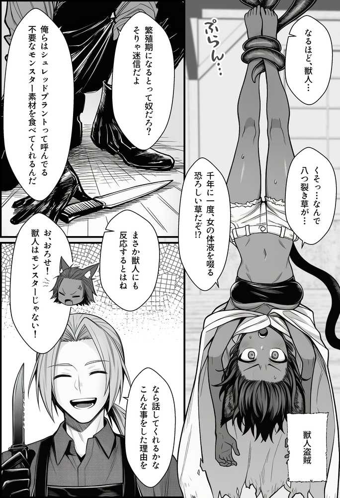 【RAWマンガ】悪政を敷くワガママ王女に見えないドレスを着せてわからせる話|COMICアイル (p13)